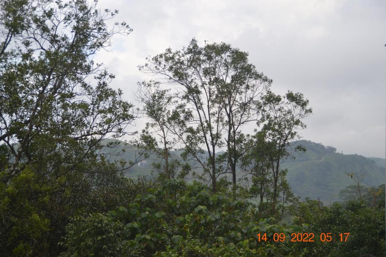 Sharon Valley Vagamon Exteriér fotografie